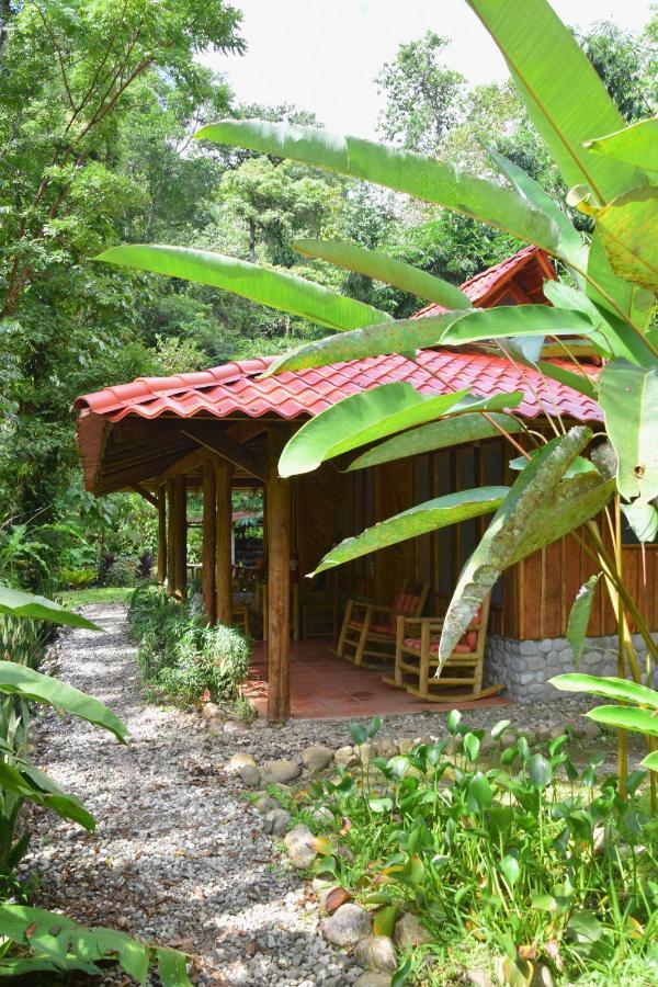 Esquinas Rainforest Lodge Голфито Екстериор снимка