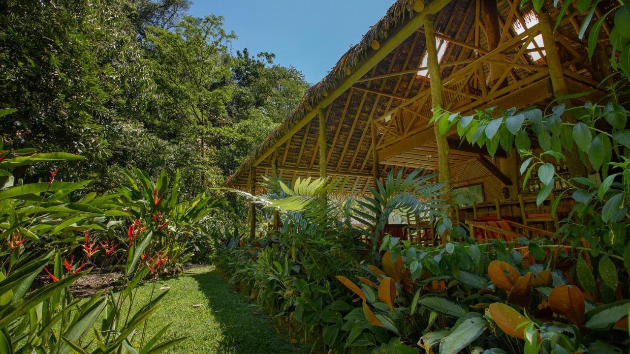 Esquinas Rainforest Lodge Голфито Екстериор снимка