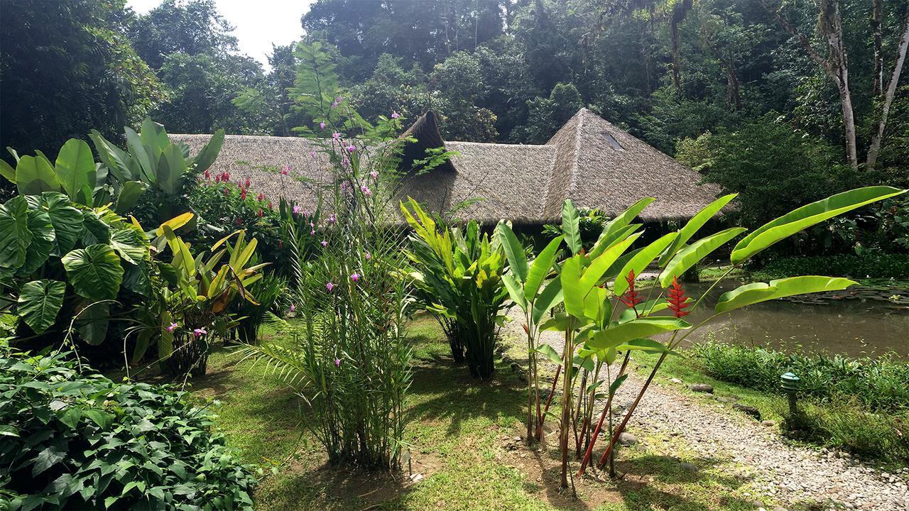 Esquinas Rainforest Lodge Голфито Екстериор снимка