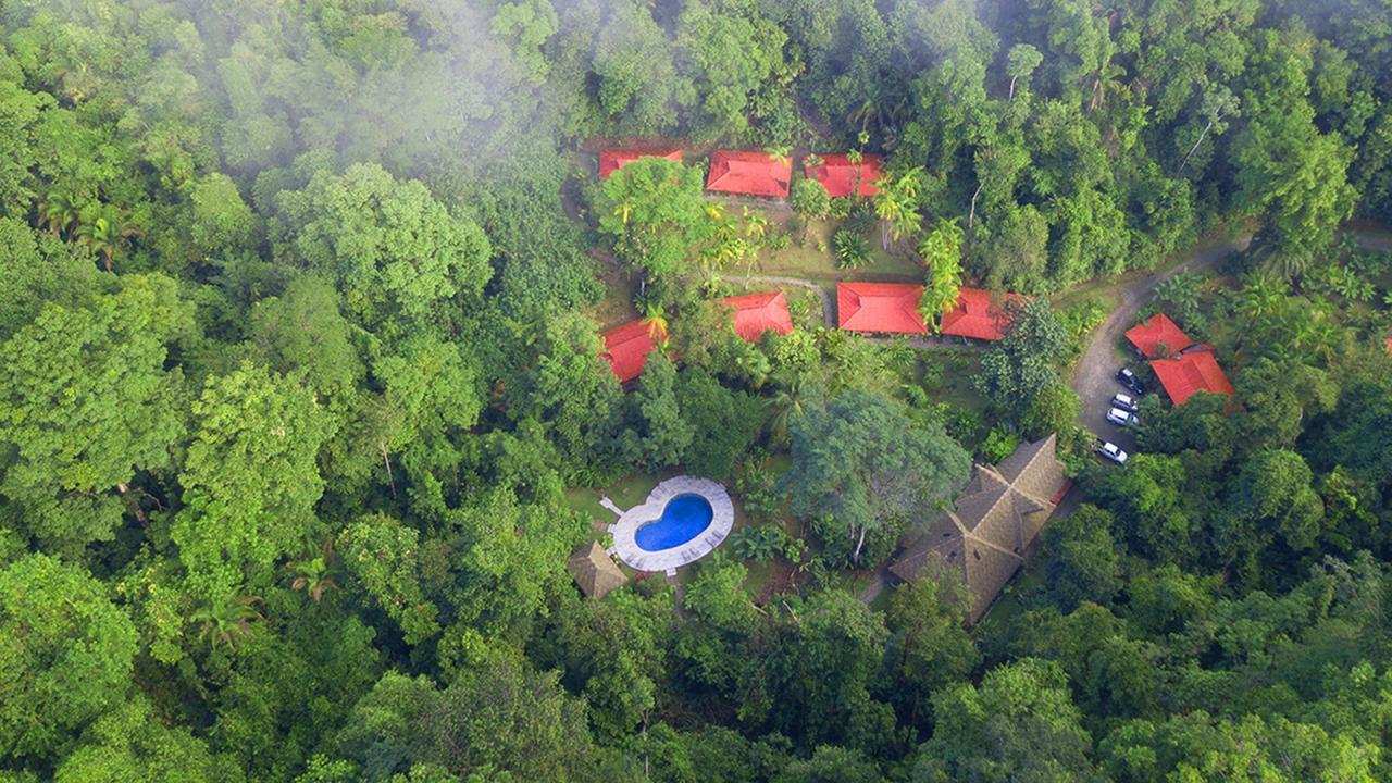 Esquinas Rainforest Lodge Голфито Екстериор снимка