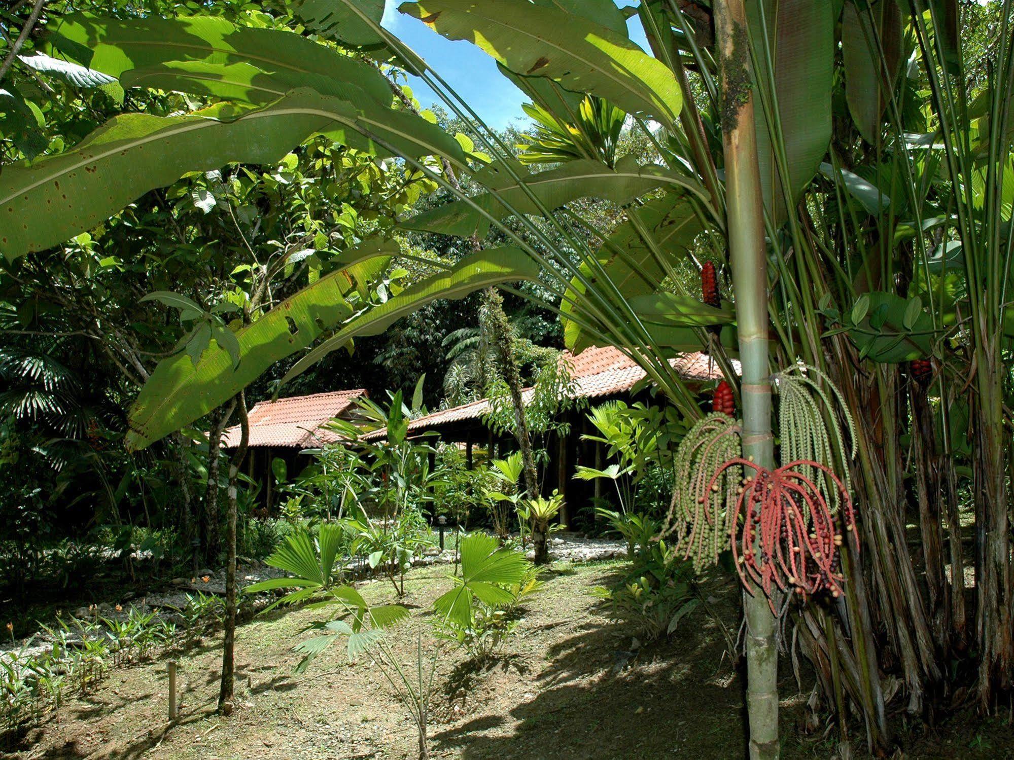 Esquinas Rainforest Lodge Голфито Екстериор снимка