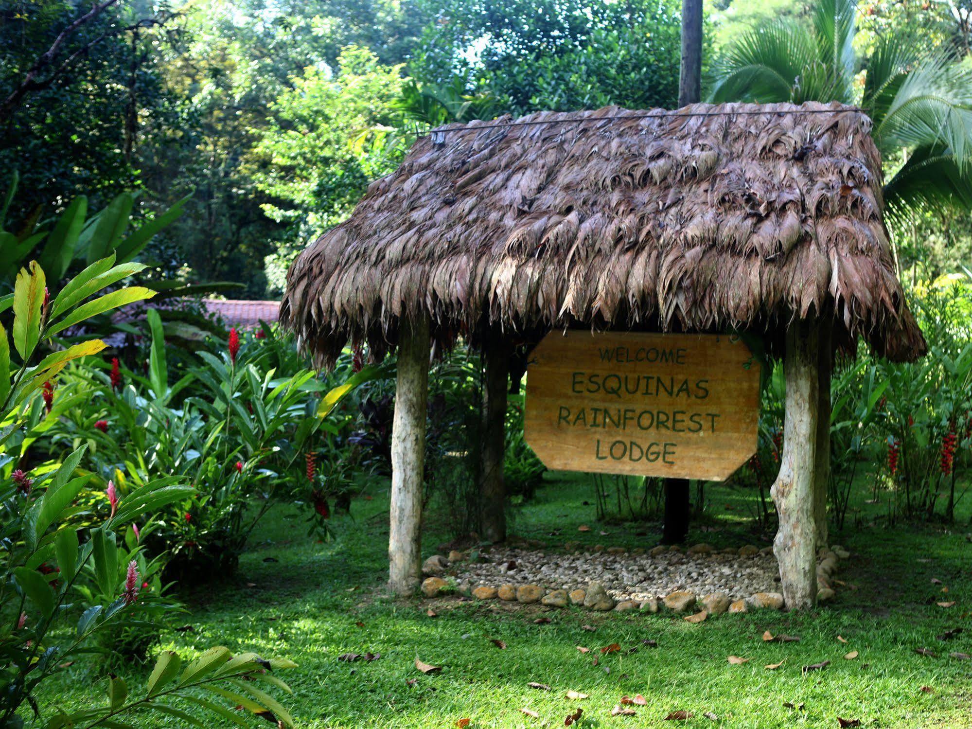 Esquinas Rainforest Lodge Голфито Екстериор снимка